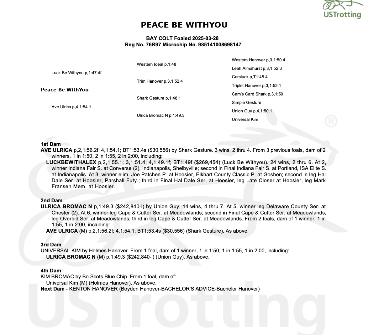 Peace Be WithYou pedigree